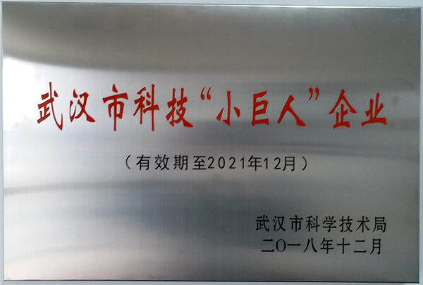 中網(wǎng)維優(yōu)獲武漢市科技“小巨人”企業(yè)稱號(hào)