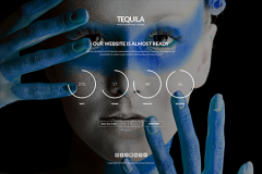 做一個(gè)網(wǎng)站要多少錢(qián) 網(wǎng)站建設(shè)多少錢(qián)