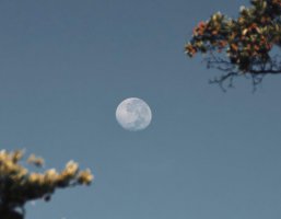 跟著新聞網(wǎng)站學網(wǎng)頁設(shè)計 細心觀察良好用戶體驗