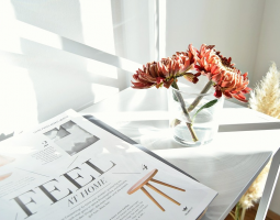 淺談寫軟文的一些技巧 軟文技巧提高